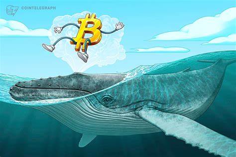 Bitcoin whales absorb 300% of newly mined BTC supply — Is $100K next?