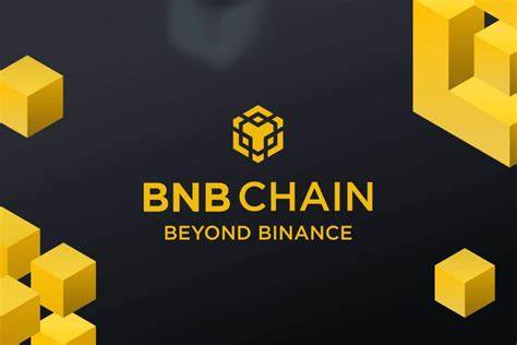 Rebranding for Binance: here is BNB Chain - The Cryptonomist