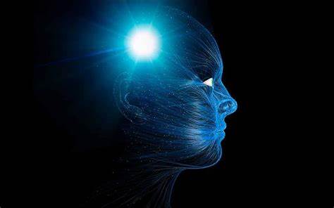 The Lunacy of 'Machine Consciousness'