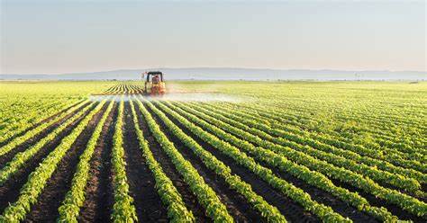 Over 10% increase in crop yields with a simple spray