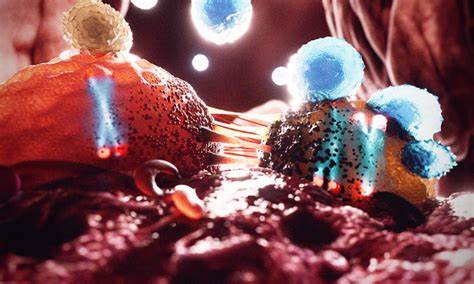 Cancer more deadly when tumours lack Y chromosome – the loss could be contagious