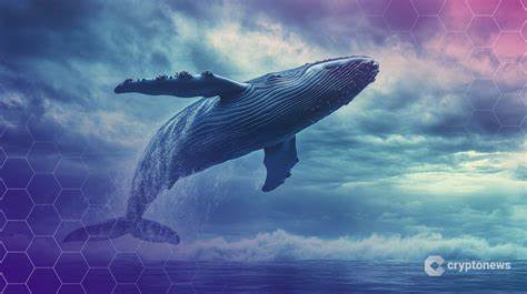 Bitcoin Whale Wallets Surge to 4-Month High Amid Accumulation Frenzy