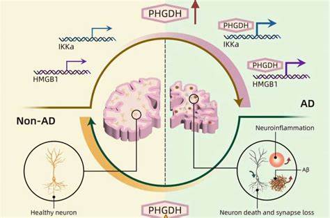 AI Helps Find a Cause of Alzheimer's Disease and Identify Therapeutic Candidate