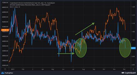 Panic Selling? Short-Term Bitcoin Holders Retreat as Long-Term Investors Accumulate BTC