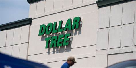 Dollar Tree Warns of Near-Term Tariff Pressure as Profit, Sales Rise