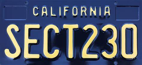 Section 230 and First Amendment Curtail an Online Videogame Addiction Lawsuit