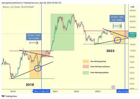 Trader Warns Bitcoin Reversal Likely Based on Historical Precedent, Updates Outlook on Chainlink - The Daily Hodl