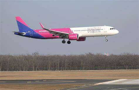 Wizz Air profit slumps on grounded planes, shares tumble