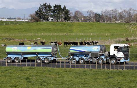 NZ's dairy firm Fonterra raises annual profit forecast, shares rise