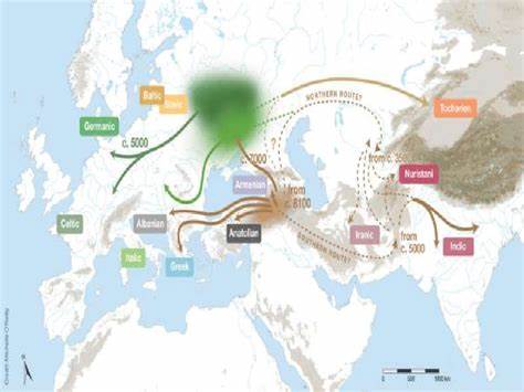 Do language trees with sampled ancestors support a hybrid Indo-European origin?