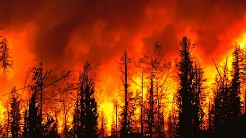 Ripple and MoonPay donate $50,000 in RLUSD to support California firefighters - Passionategeekz