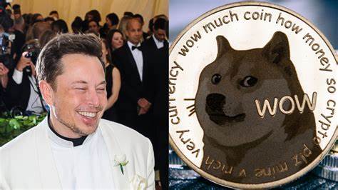 Dogecoin auf dem Weg zum Allzeithoch? Analyst vermutet: Elon Musk steckt dahinter!