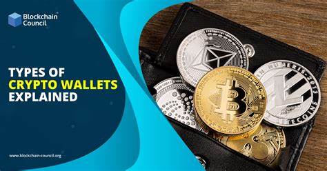 Cryptocurrency Wallets: Explained