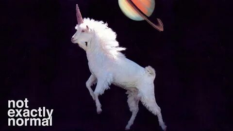 Of all the AI Unicorns founded post transformer. [...] none have come out of YC