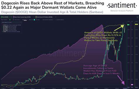 Another Parabolic Rally on the Way for Dogecoin if History Repeats, Says Crypto Strategist – Here’s His Outlook - The Daily Hodl