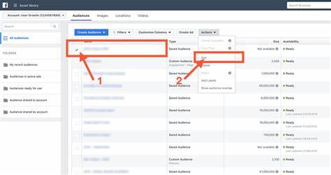 Lifetime free access – prelaunch audience builder tool