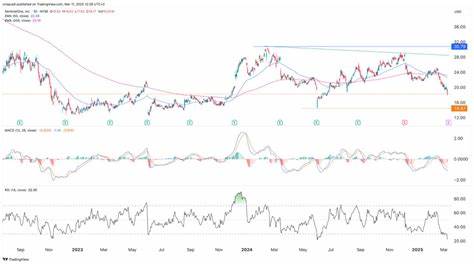 Where Will SentinelOne Stock Be in 1 Year?