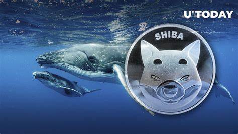 Shiba Inu (SHIB) Leads Whale Accumulation Wave Amidst Rising Geopolitical Tensions