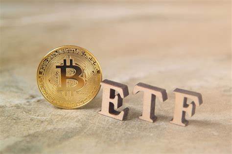 Bitcoin ETFs See $295M Daily Inflows as Investors Buy Dip - Coinspeaker