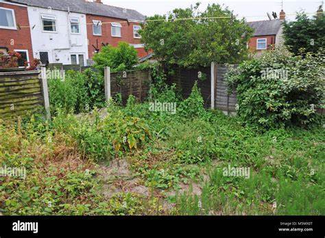 The Neglected Abundance of Your Backyard