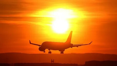 Tech firms halve business travel in 2023 but Alphabet, Apple lag, study shows