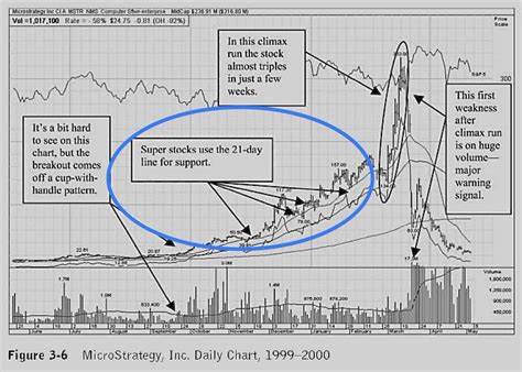 3 Monster Stocks to Hold for the Next 5 Years