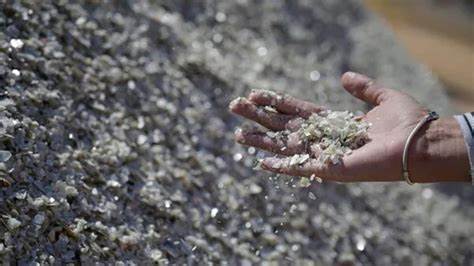 India to conserve rare earths for domestic use, halt Japan exports