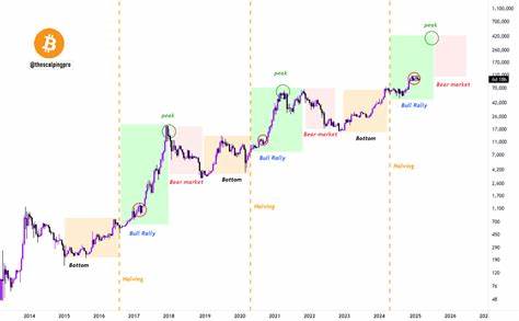 2Why This Bitcoin Bull Run Is Unique: 5 Catalysts Reshaping Crypto Cycle