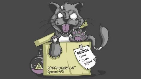 Can Schrodinger's Cat Factor Numbers?