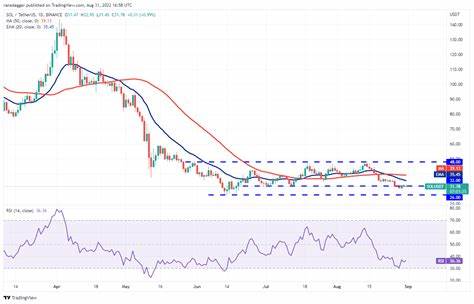 SHIB Outperforms BTC, ETH, SOL, DOGE in Weekly Gains: Report