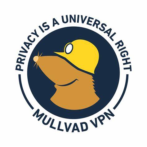 Launching Mullvad VPN Loader