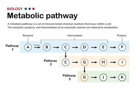 Metabolic Pathways