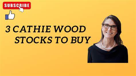 3 Stocks That Cathie Wood Bought on Tuesday