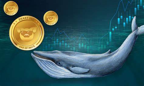 What Crypto Whales Are Buying for Potential Gains in August 2024 - BeInCrypto