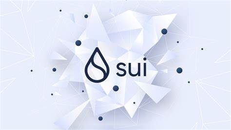 Massive Token Heist Exposes Weaknesses! $29 Million Stolen from Sui Network! - Bit Perfect Solutions