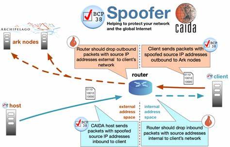 Spoofer – open-source to assess and report on anti-spoofing practices
