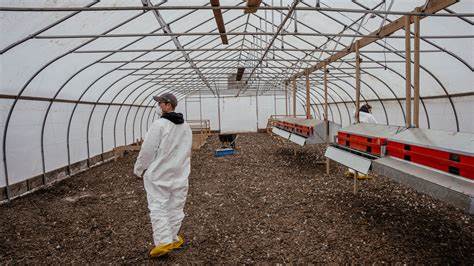 U.S. Cancels Contract with Moderna to Develop Bird Flu Vaccine