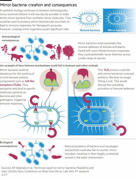 Scientists rush to stop mirror microbes that could threaten life on Earth