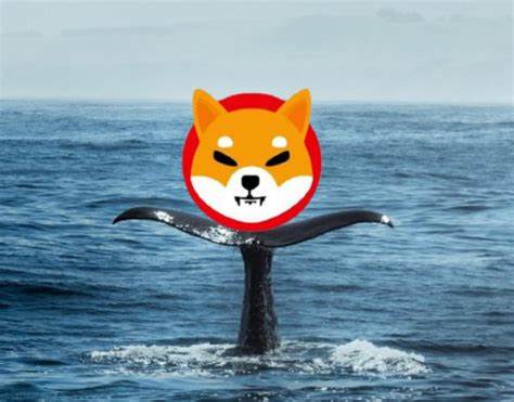 Shiba Inu Whale Makes a Shocking $500k Move Into an AI Altcoin Predicted to Rise 30,000% by Q1 2025 - TCU