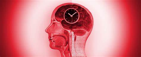 Fasting-Style Diet Seems to Result in Dynamic Changes in Human Brains