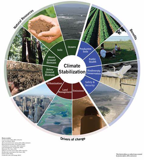 The Safest Path to Stable Climate Is Designing New Plants