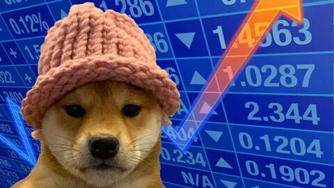 Solana Meme Coin Dogwifhat steigt um 257 %, da SOL 100 $ zurückerhält – Entschlüsseln
