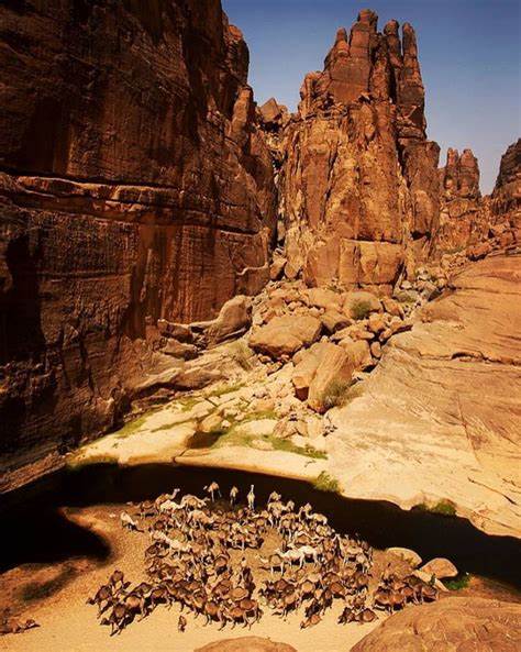 Guelta