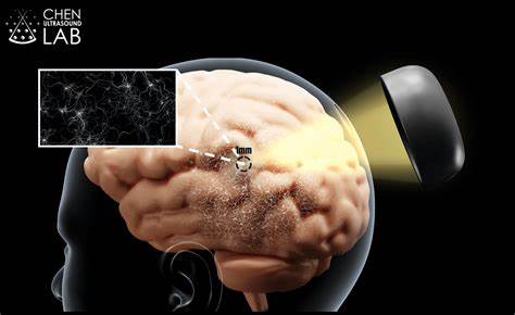 Genes Shape the Brain – New Study Uncovers Genetic Influences on Brain Structure