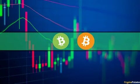 Bitcoin Price Struggles Below $100K but These Altcoins Outperform (Market Watch) - CryptoPotato