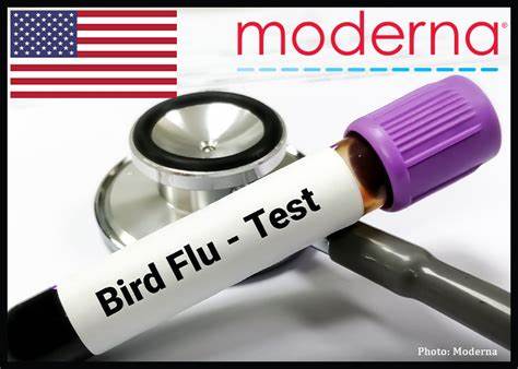 US cancels funding for Moderna bird flu vaccine