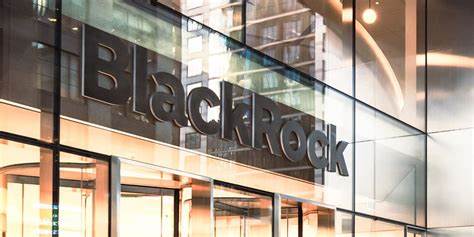 BlackRock sets $400bn fundraising goal for private investment growth
