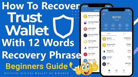 Crypto wallet recovery without a private key or seed phrase | Opinion