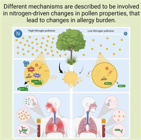 The impact of ecosystem nitrogen enrichment on pollen allergy