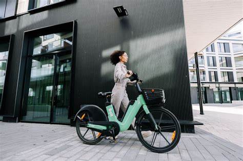 How Difficult Public Micromobility Is in Suburbia: Case Study of OC Flex Demise